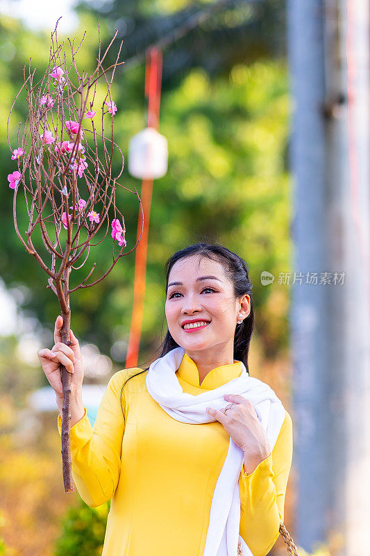 越南女孩穿着传统的ao dai服装，手持花枝在越南享受新年。春节和新年。